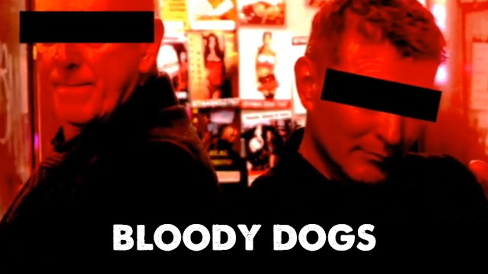 Bloody Dogs